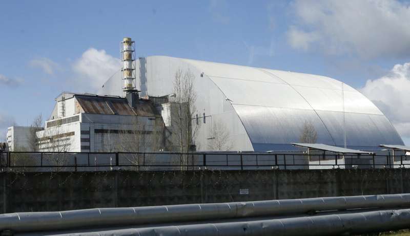 Mushrooms foraged in Sweden could help research Chernobyl fallout