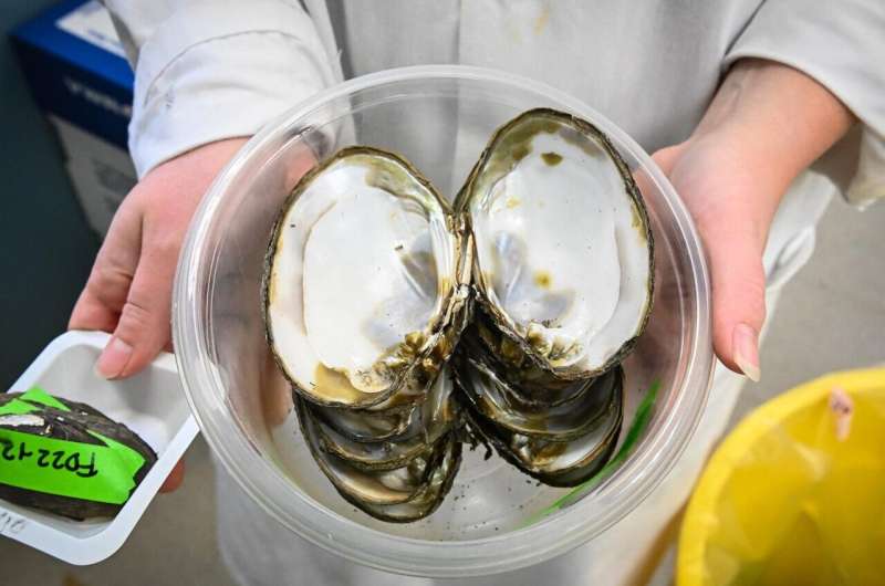 Mussels downstream of wastewater treatment plant contain radium, study reports