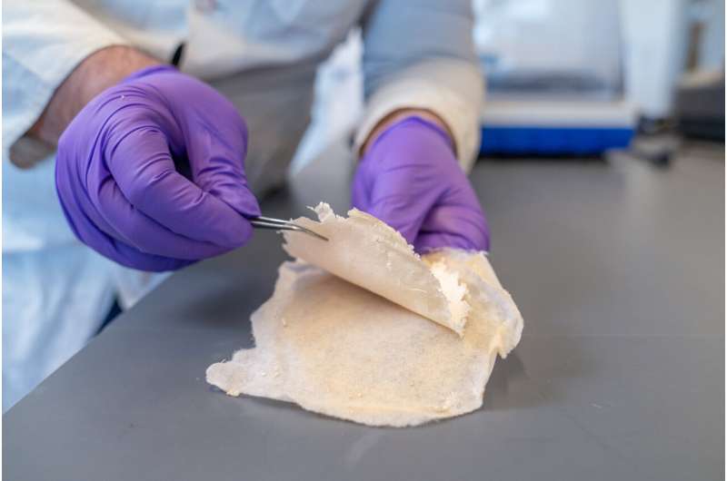 Nanofiber bandages fight infection, speed healing