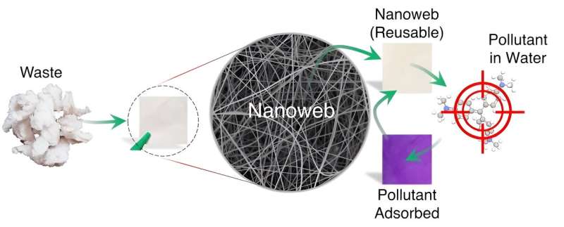 Nanofibers rid water of hazardous dyes