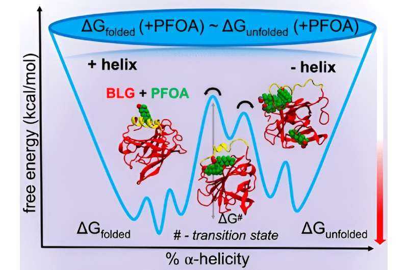 Nanoplastics and 'forever chemicals' disrupt molecular structures, functionality