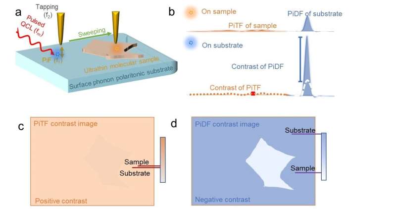 Nanoscale infrared contrast imaging of ultrathin samples with surface phonon polariton enhanced photoinduced dipole force