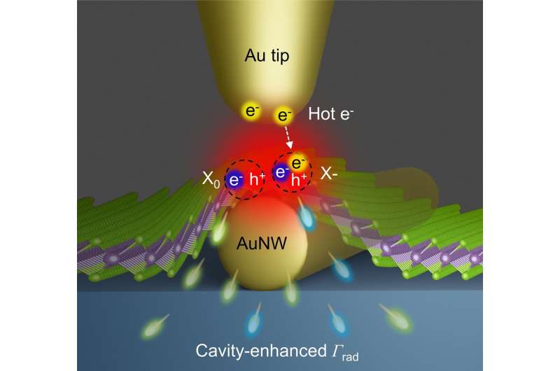 Manipulação em nanoescala da interconversão exciton-trion em uma monocamada MoSe2 via espectroscopia de cavidade com ponta aprimorada