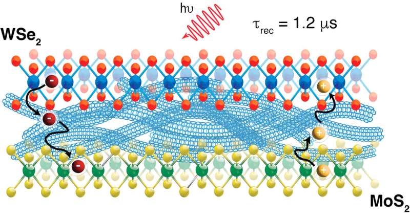 Nanoscale trilayer exhibits ultrafast charge transfer in semiconductor materials
