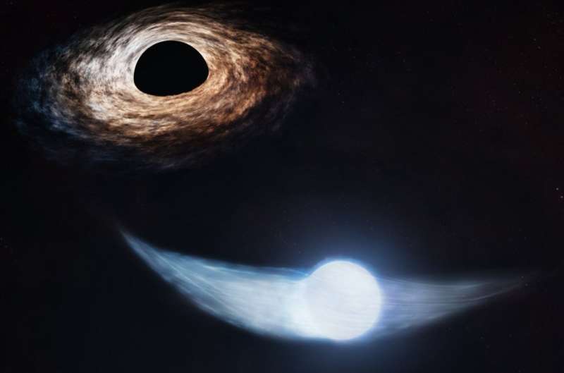 NASA telescopes determine a black hole’s snack schedule