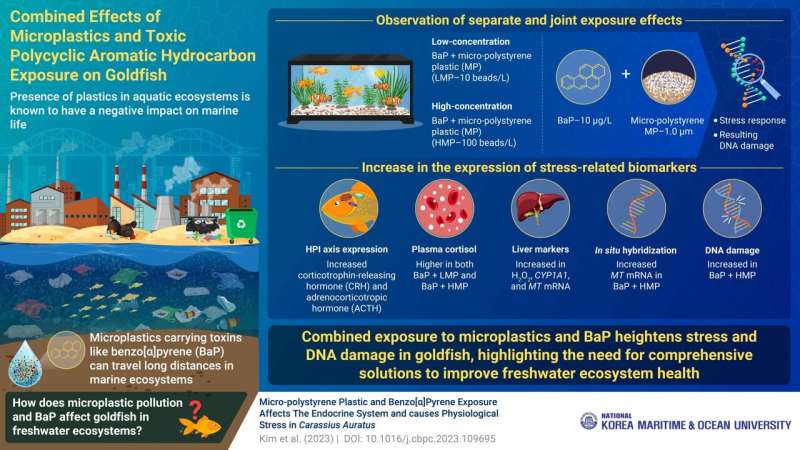 National Korea Maritime and Ocean researchers explore the impact of microplastics and toxin exposure on goldfish