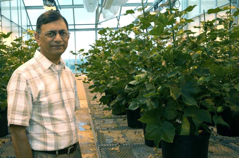 Natural tech for 'dimming' genes brings transformative potential to agriculture