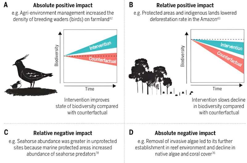 Nature conservation works, and we're getting better at it – new study