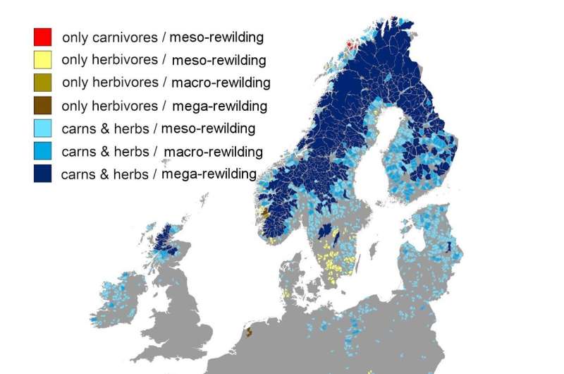 Nearly 25% of European landscape could be rewilded