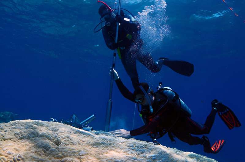 New 400-year temperature record shows Great Barrier Reef is facing catastrophic damage, researchers warn