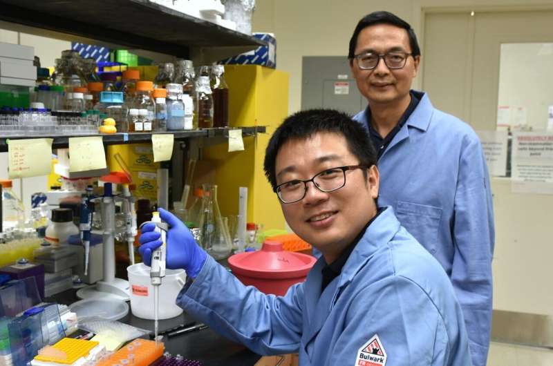 New additive process can make better — and greener — high-value chemicals
