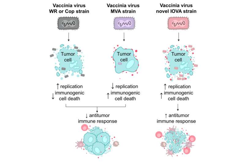 New advances in cancer viral immunotherapy