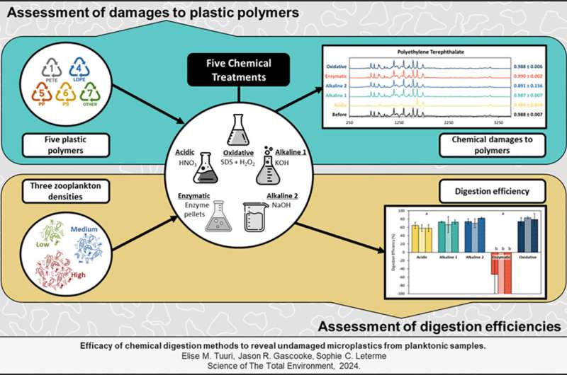 Nueva vía para monitorear y eliminar los contaminantes microplásticos de los océanos