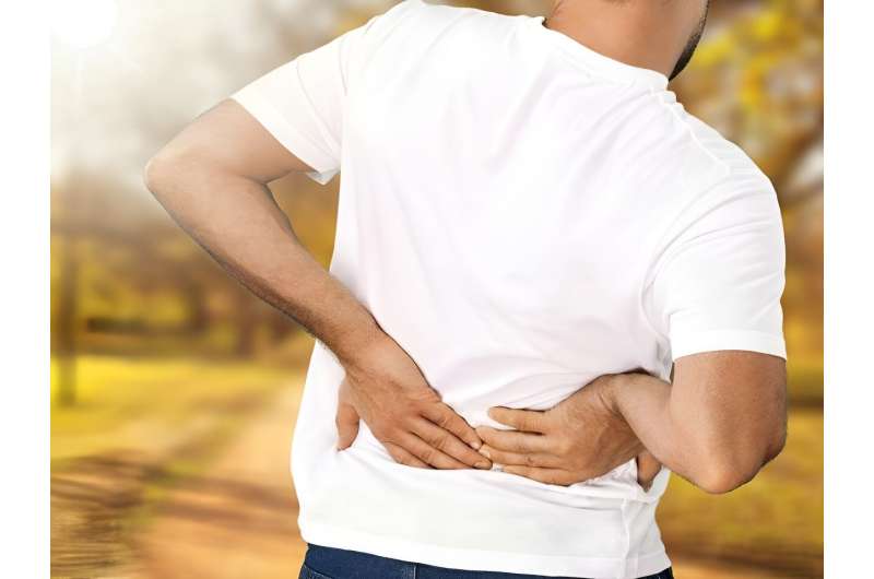 New clues to origins of lower back pain