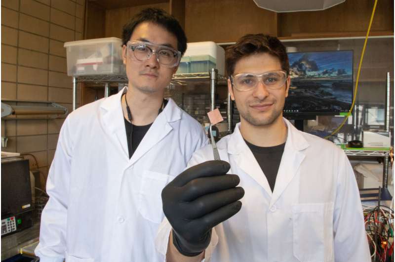 New contaminant-tolerant catalyst could help capture carbon directly from smokestacks