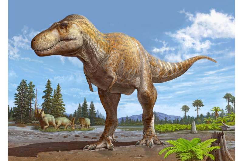 New dinosaur species may be closest known relative of Tyrannosaurus rex