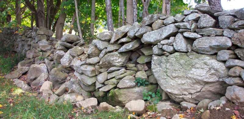 New England stone walls deserve a science of their own
