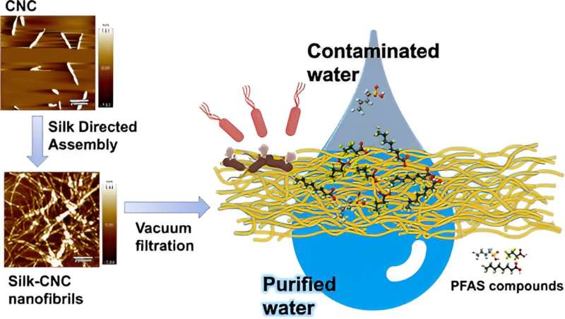 Op de natuur gebaseerd filtermateriaal kan langdurige chemicaliën uit water verwijderen