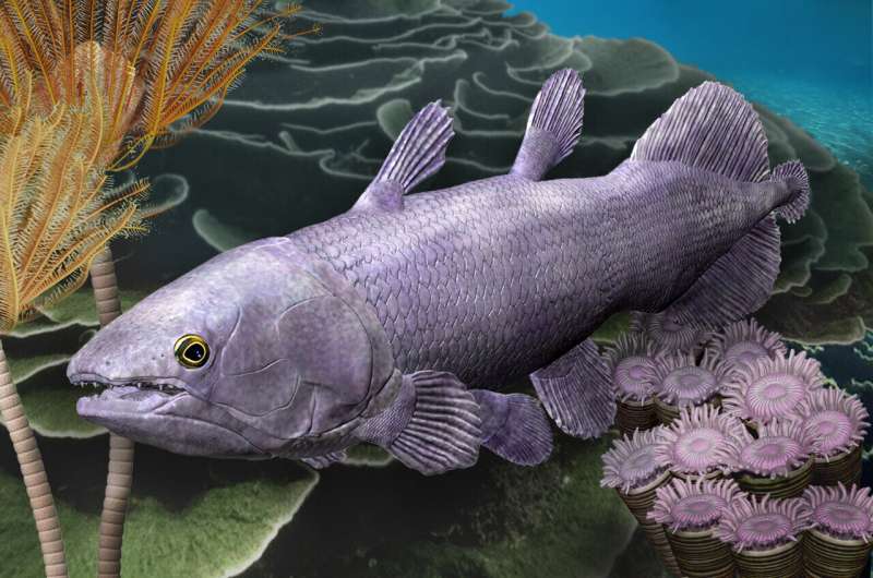 New fossil fish species scales up evidence of Earth's evolutionary march