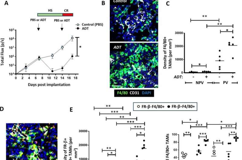 New hope for prostate cancer: New form of immunotherapy could prevent resistance to hormone therapy