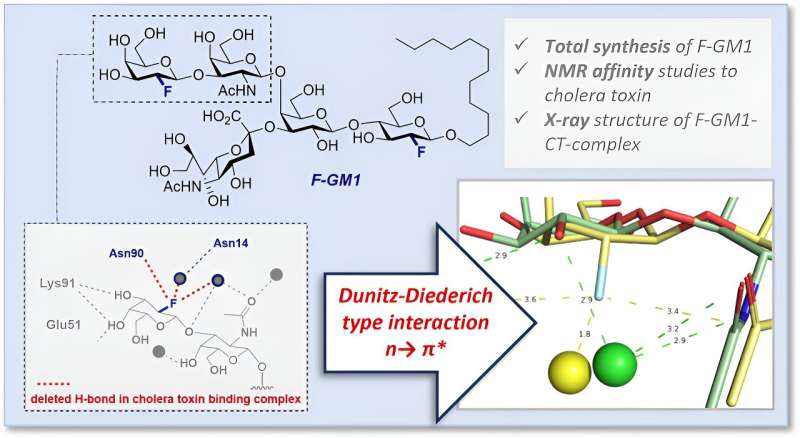 New insights into molecular mechanisms of cholera infection