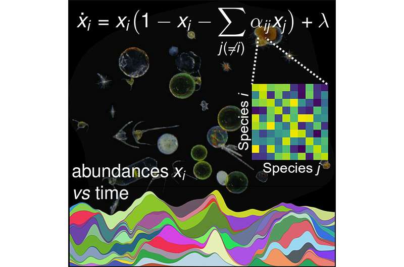 New insights into the dynamics of microbial communities