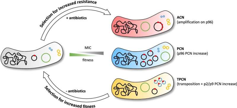 New mechanisms behind antibiotic resistance