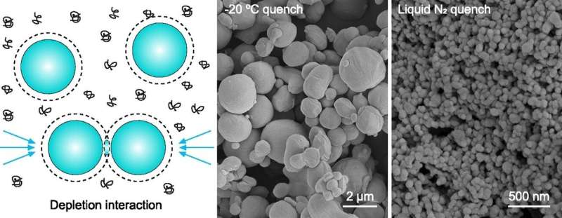 New method enables gradual release of protein drugs into the body