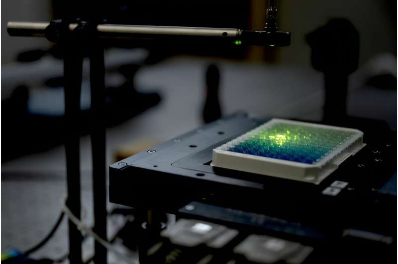 New nanosensors make diagnostic procedures more sensitive