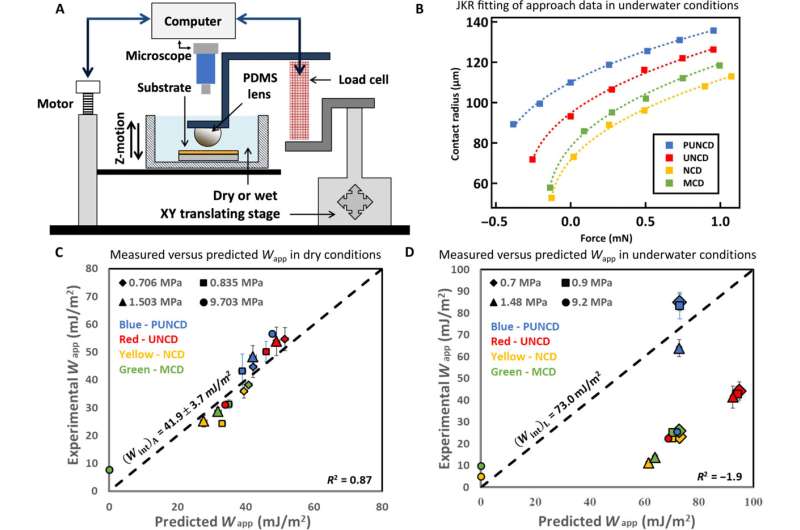 New research challenges conventional wisdom on wet surface adhesion