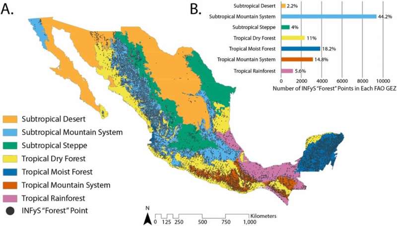 New research develops forest extent map for Mexico