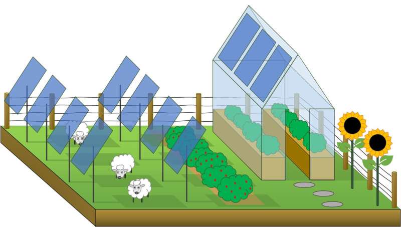 New research from Swansea University shines a light on how solar power and farming can coexist