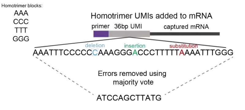 New research improves accuracy of molecular quantification in high throughput sequencing