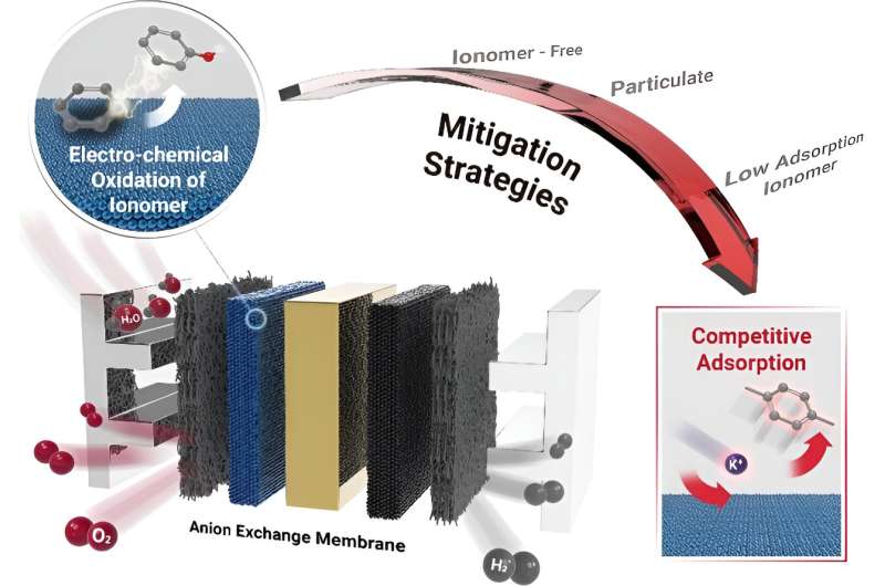 New research paves the way for cost-effective and high-efficiency green hydrogen production