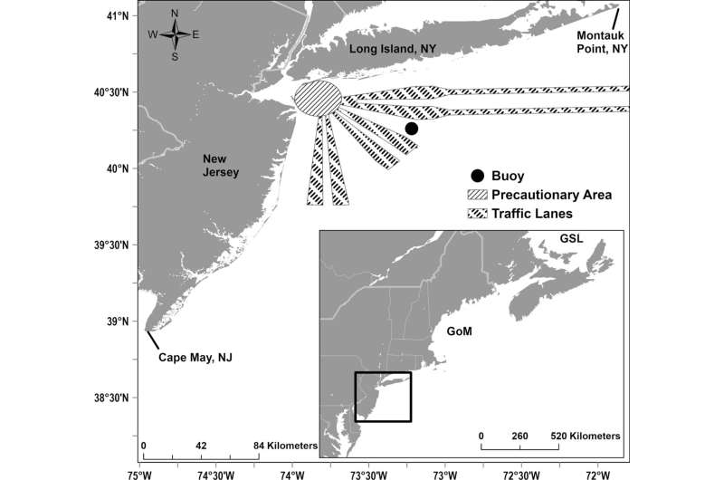 New research reveals New York bight is an important year-round habitat for endangered fin whales