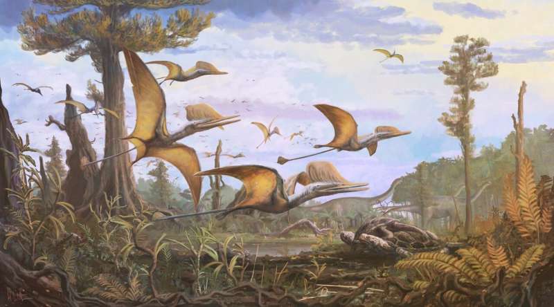 New species of Jurassic pterosaur discovered on the Isle of Skye