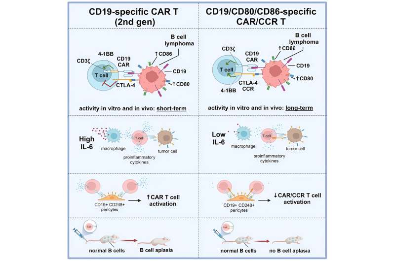 New strategy for safer CAR T cell therapy in lymphomas
