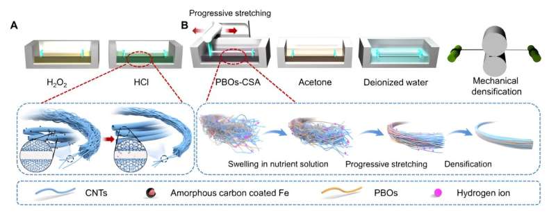 New strategy to obtain carbon nanotube fibers with higher dynamic strength