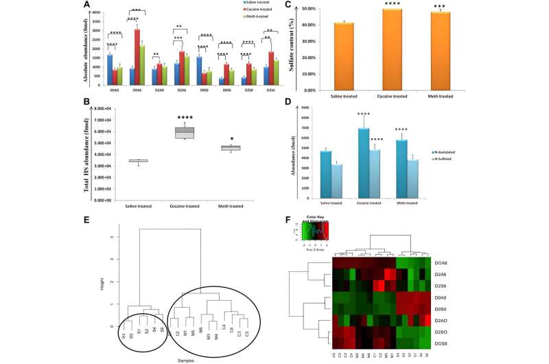 New study defines relationships among heparan and chondroitin sulfate and associated proteins involved in drug abuse