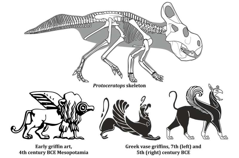 New study finds dinosaur fossils did not inspire the mythological griffin