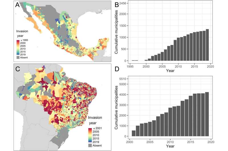 New study predicts worsening dengue spread in Mexico and Brazil