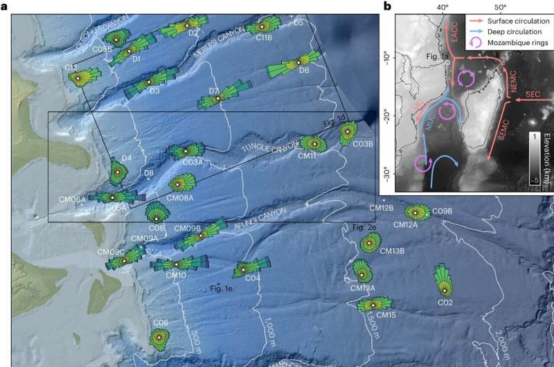 New study reveals new intricate behaviors of deep-sea currents