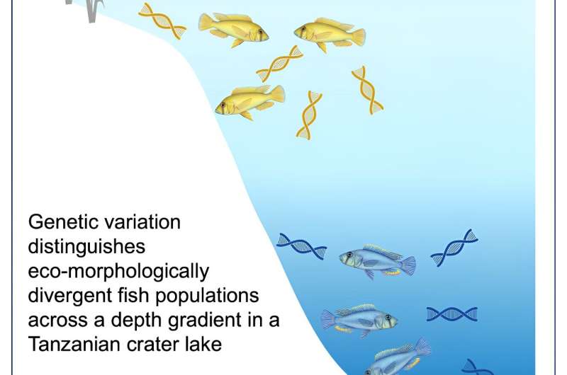 New technique detects distinct fish populations in a single lake through their environmental DNA