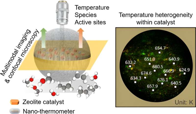 New technique developed for measurement of temperature distribution inside single catalyst particle