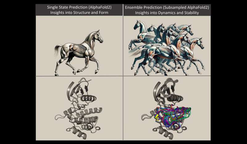 New technique for predicting protein dynamics may prove big breakthrough for drug discovery