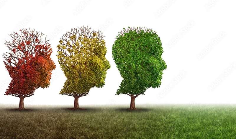 New treatment target identified for Alzheimer's disease