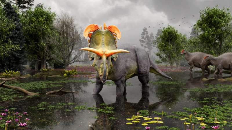 Newly discovered dinosaur boasts big, blade-like horns