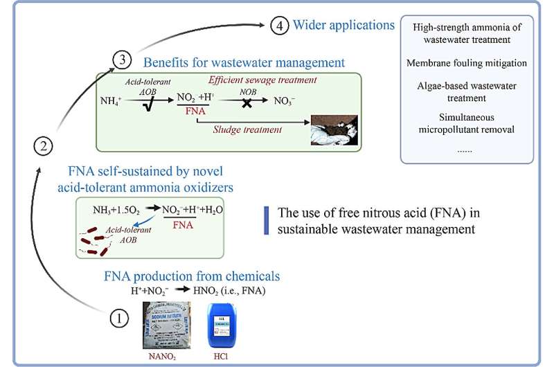 Next-generation wastewater solutions: Utilizing acid-resistant microbes for improved treatment efficiency