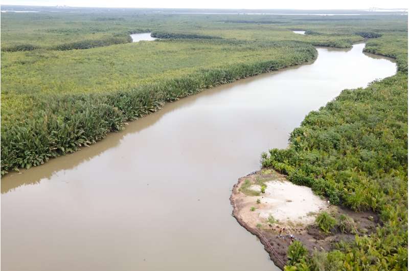 Nigeria boasts some of the highest mangrove coverage in the world