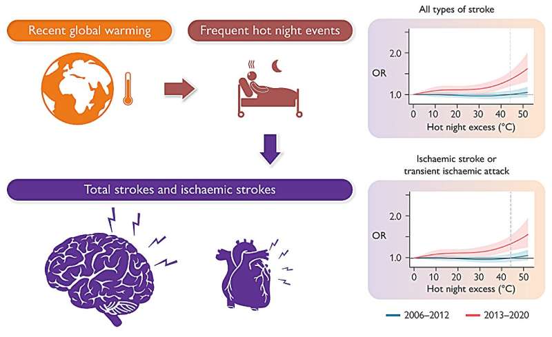 Night-time heat significantly increases the risk of stroke